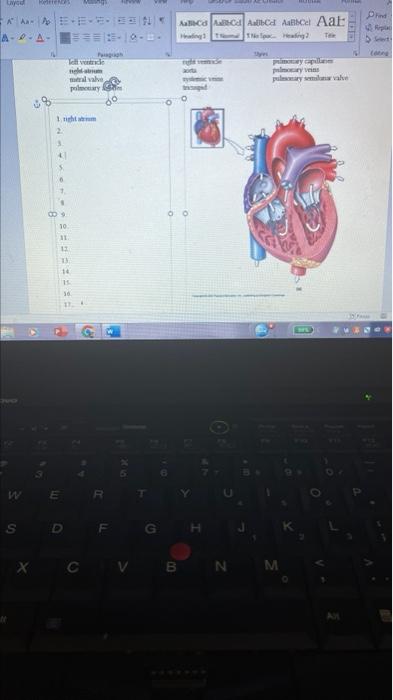 Blood Flow Through The Cardiovascular System Activity Use The Terms From The Following List To Put In Sequence The Gen 1