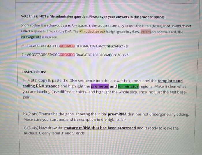 Note This Is Not A File Submission Question Please Type Your Answers In The Provided Spaces Shown Below Is A Eukaryoti 1