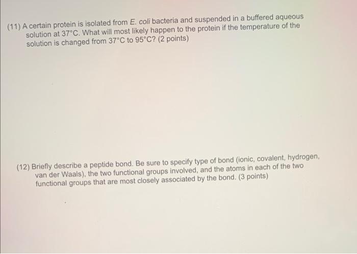 11 A Certain Protein Is Isolated From E Coli Bacteria And Suspended In A Buffered Aqueous Solution At 37 C What Will 1