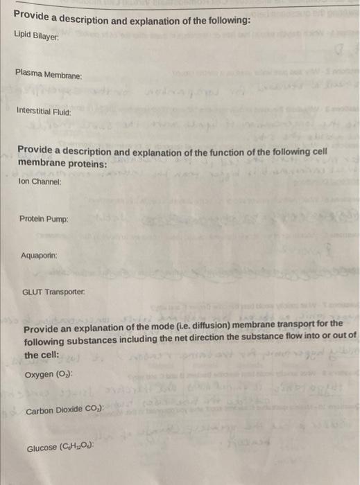 Provide A Description And Explanation Of The Following Lipid Bllayer Plasma Membrane Interstitial Fluid Provide A De 1