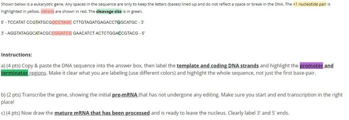 Highighted In Yellow Introns Are Shown In Red The Cleavage Site Is In Green 5 Tccatat Ccgtatgcggcctagc Citgtagatga 1