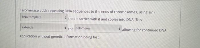 Telomerase Adds Repeating Dna Sequences To The Ends Of Chromosomes Using A N That It Carries With It And Copies Into D 1