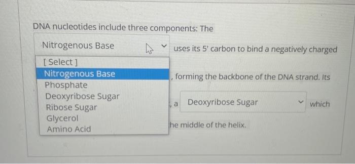 Telomerase Adds Repeating Dna Sequences To The Ends Of Chromosomes Using A N That It Carries With It And Copies Into D 3