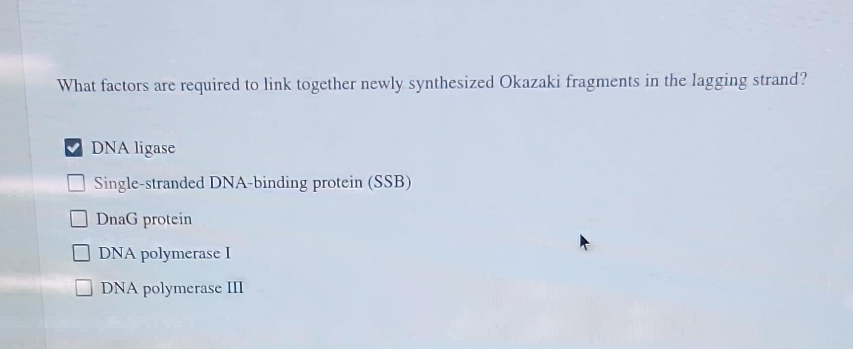 What Factors Are Required To Link Together Newly Synthesized Okazaki Fragments In The Lagging Strand Dna Ligase Single 1