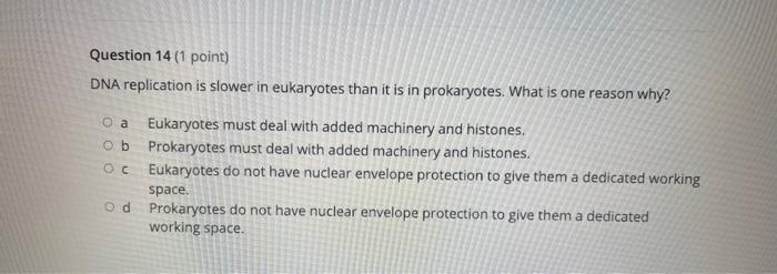 Dna Replication Is Slower In Eukaryotes Than It Is In Prokaryotes What Is One Reason Why A Eukaryotes Must Deal With A 1