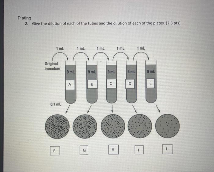 Plating 2 Give The Dilution Of Each Of The Tubes And The Dilution Of Each Of The Plates 2 5 Pts A 1
