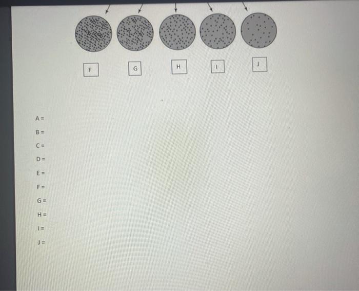 Plating 2 Give The Dilution Of Each Of The Tubes And The Dilution Of Each Of The Plates 2 5 Pts A 2