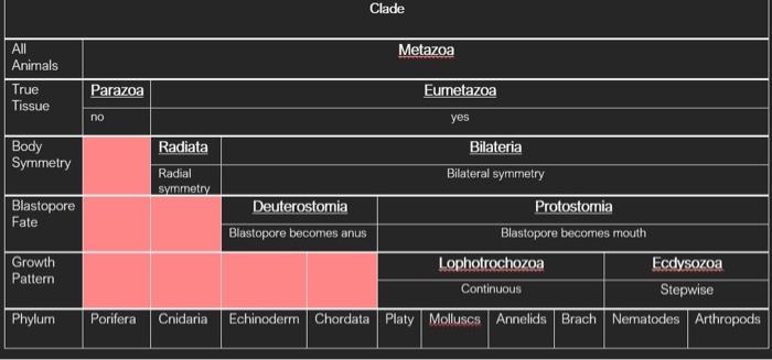 Draw A Phylogenetic Tree Using The Information From The Table The Internal Nodes And Tip Of Your Branches Should Be Th 2