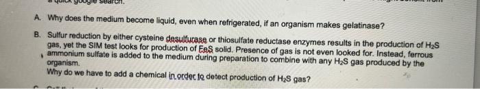 Gas Yet The Sim Test Looks For Production Of Ammonium Sulfate Is Added To The Medium During Preparation To Combine With 1
