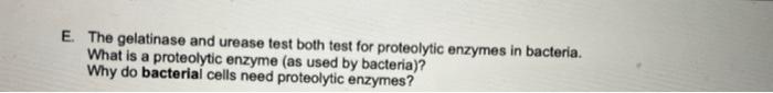 E The Gelatinase And Urease Test Both Test For Proteolytic Enzymes In Bacteria What Is A Proteolytic Enzyme As Used B 1
