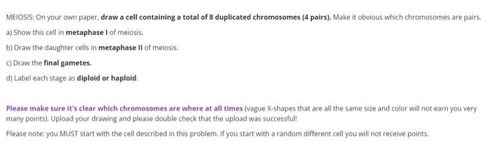Melosis On Your Own Paper Draw A Cell Containing A Total Of 8 Duplicated Chromosomes 4 Pairs Make It Obvious Which 1