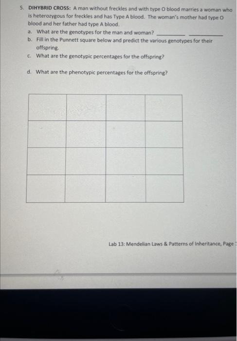 5 Dihybrid Cross A Man Without Freckles And With Type O Blood Marries A Woman Who Is Heterorygous For Freckles And Has 1