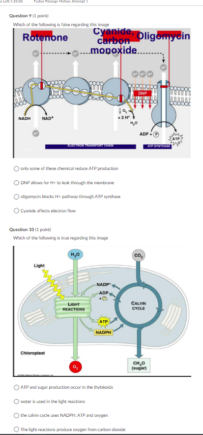 Only Some Of These Chemical Reduce Atp Production Dnp Allows For H To Leak Through The Membrane Oligomycin Blocks H Pa 1