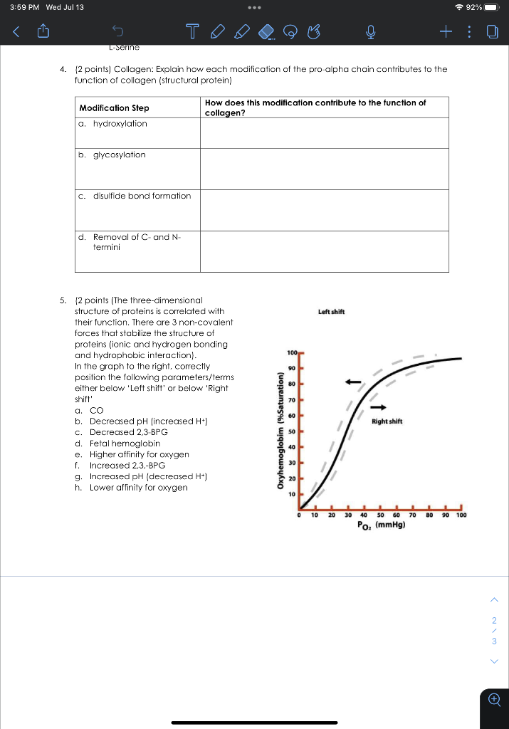 4 2 Points Collagen Explain How Each Modification Of The Pro Alpha Chain Contributes To The Function Of Collagen St 1