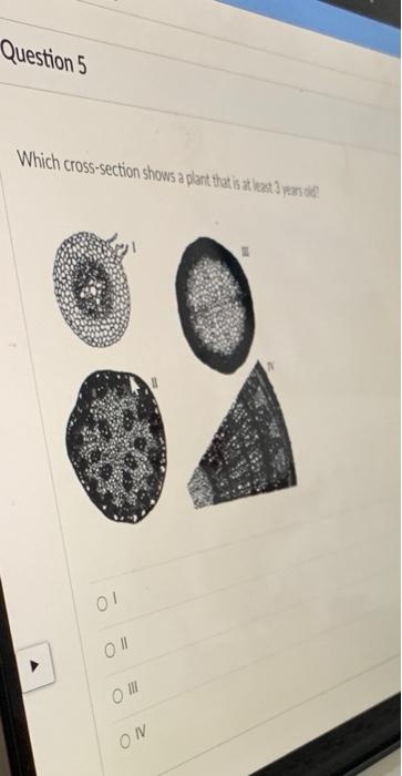 In Four Or Five Monocots Vessel Elements Sieve Tube Elements Eudicots Which Cross Section Shows A Plant That Is At Lea 2