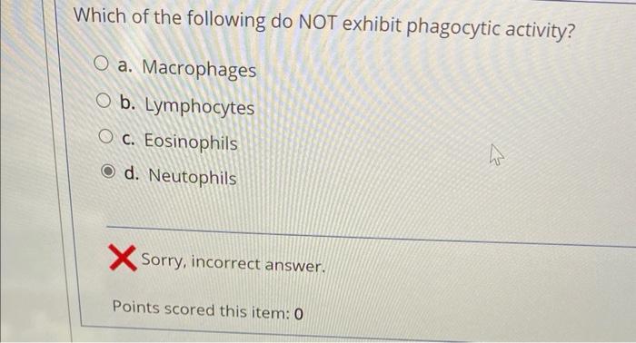 Which Of The Following Do Not Exhibit Phagocytic Activity A Macrophages B Lymphocytes C Eosinophils D Neutophils So 1
