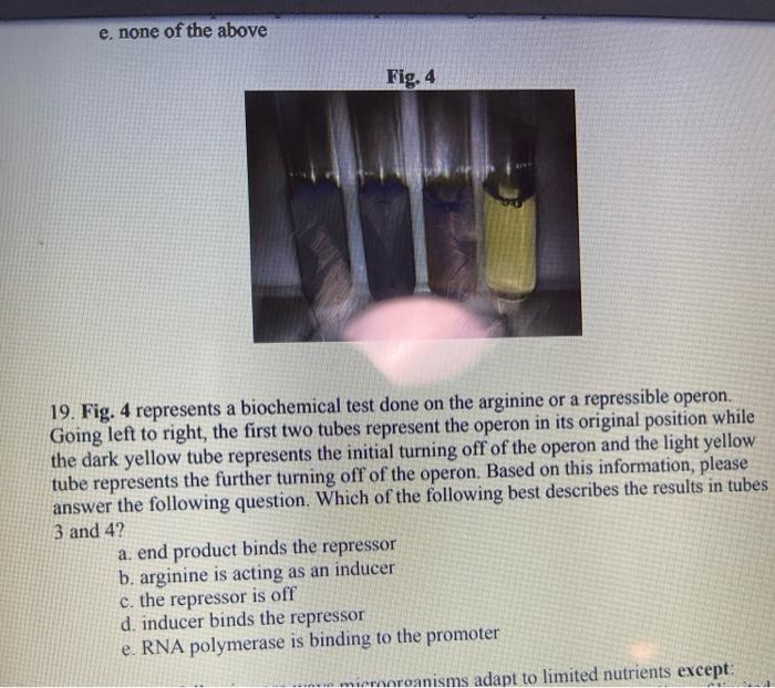 E None Of The Above 19 Fig 4 Represents A Biochemical Test Done On The Arginine Or A Repressible Operon Going Left T 1
