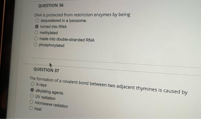 Dna Is Protected From Restriction Enzymes By Being Sequestered In A Lysosome Turned Into Rna Methylated Made Into Doubl 1