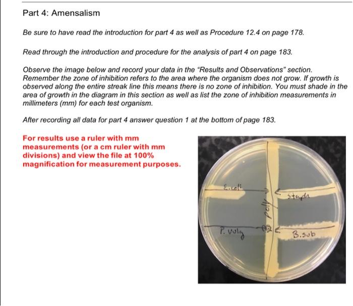 Part 4 Amensalism Be Sure To Have Read The Introduction For Part 4 As Well As Procedure 12 4 On Page 178 Read Through 1