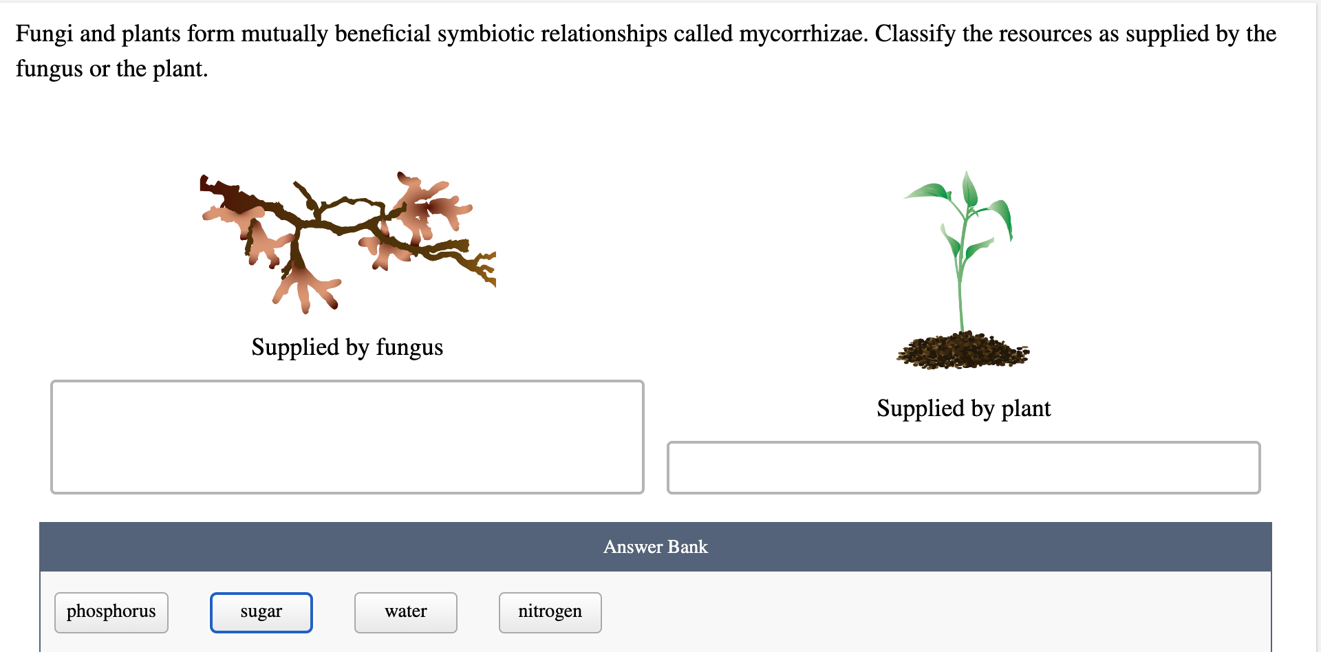 Fungi And Plants Form Mutually Beneficial Symbiotic Relationships Called Mycorrhizae Classify The Resources As Supplied 1