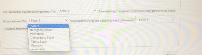 Dna Rucleotides Have Three Components The Forms Hydrogen Towdis With Its Complementary Parther In The Middle Of The Mol 1