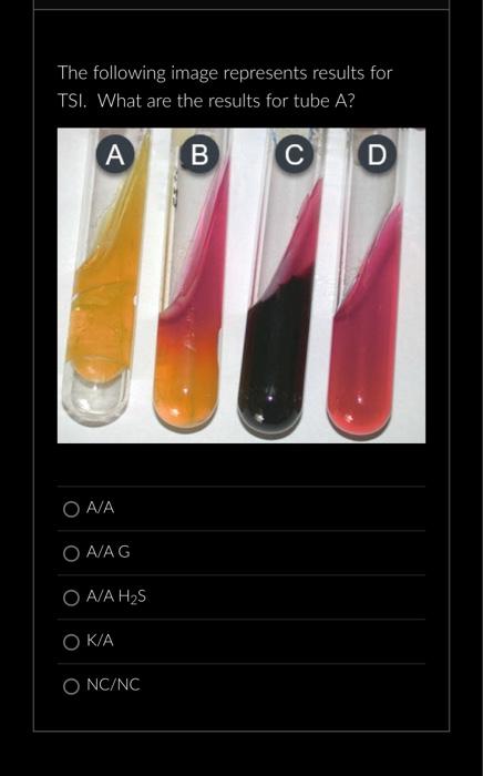 The Following Is An Example Student S Quadrant Streak Plate Please Select All Of The Following Answers That Best Descri 2