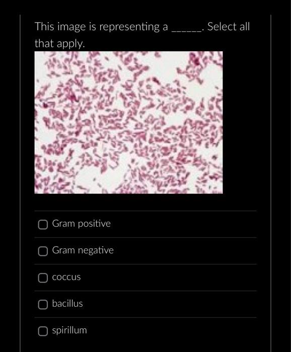 The Following Is An Example Student S Quadrant Streak Plate Please Select All Of The Following Answers That Best Descri 4