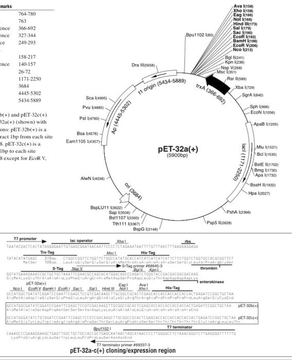 B And Pet 32cc 32an Shown Wit Ans Pet 32b Is Ract 1 Bp From Cach 8 Pet 32c Is A Lbp To Each Site E 1