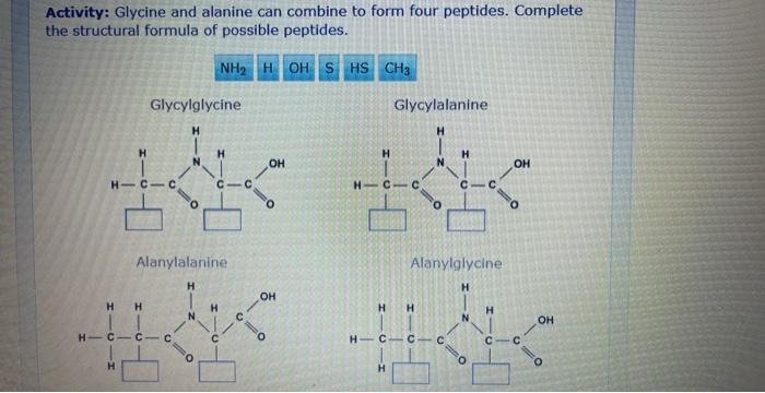 Activity Glycine And Alanine Can Combine To Form Four Peptides Complete The Structural Formula Of Possible Peptides 1