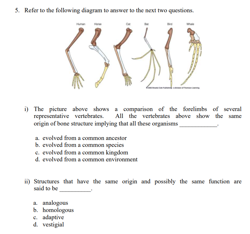 5 Refer To The Following Diagram To Answer To The Next Two Questions I The Picture Above Shows A Comparison Of The Fo 1