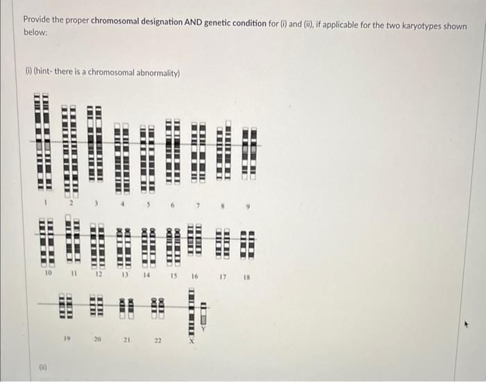 Provide The Proper Chromosomal Designation And Genetic Condition For I And Ii If Applicable For The Two Karyotypes 1