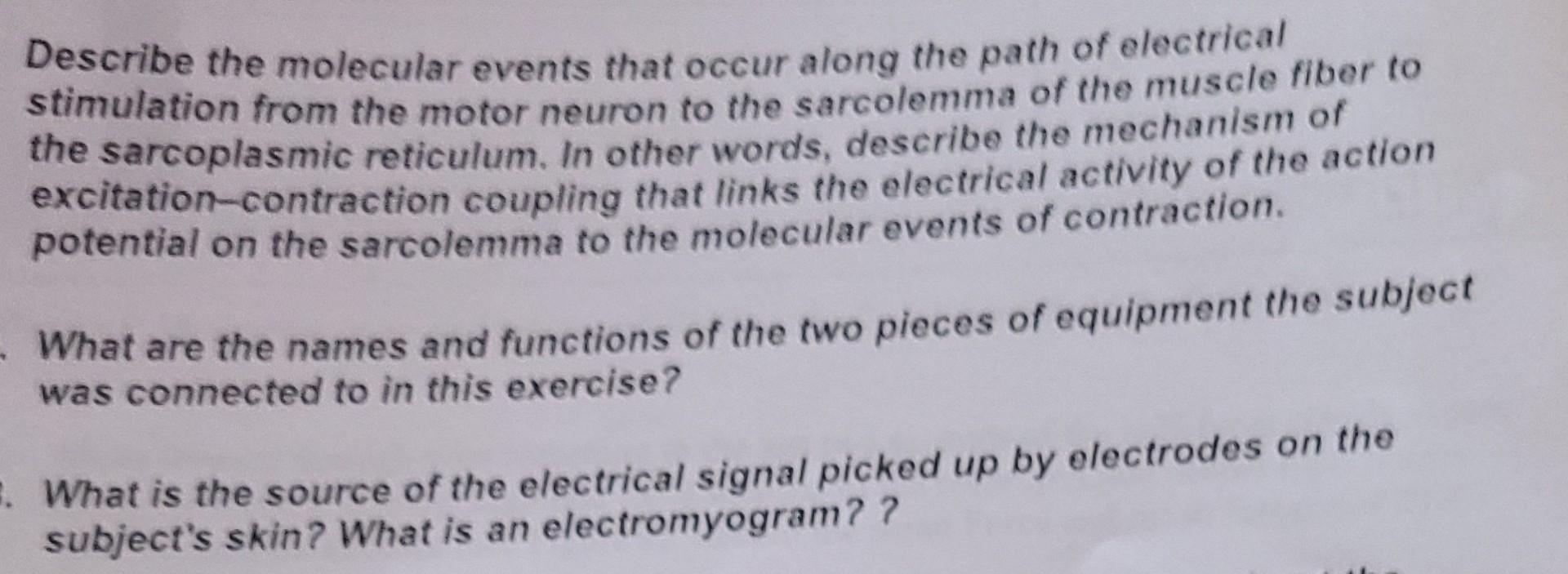 Describe The Molecular Events That Occur Along The Path Of Electrical Stimulation From The Motor Neuron To The Sarcolemm 1