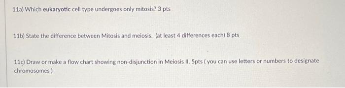11a Which Eukaryotic Cell Type Undergoes Only Mitosis 3 Pts 11b State The Difference Between Mitosis And Meiosis At 1