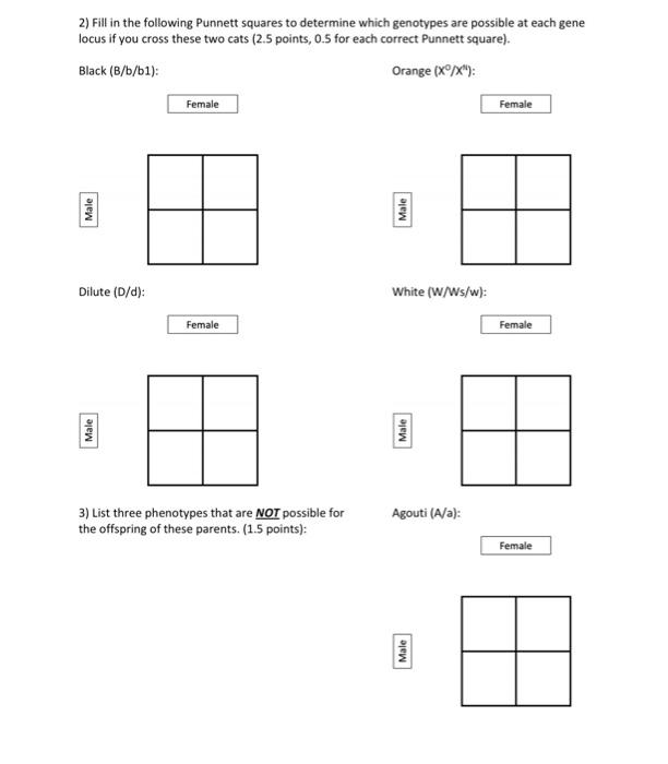 The Following Table Lists Five Loci That Determine The Phenotypes Of Cat Color And Patterning It Is Recommended That Yo 2