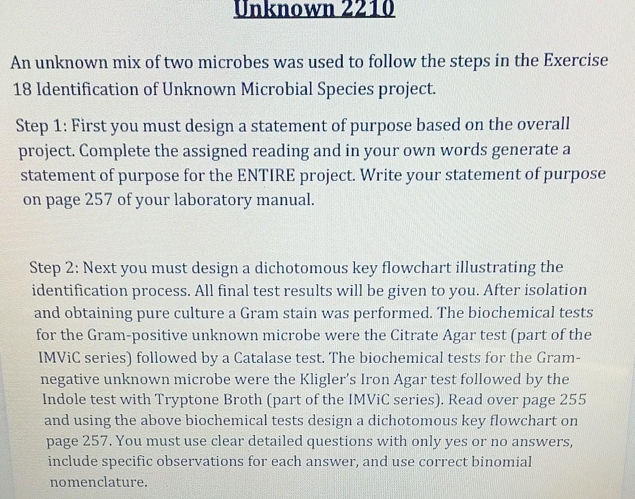 Dichotomous Key Flowchart During The Unknown Experiment You Will Make Macroscopic And Microscopic Observations To Gathe 2