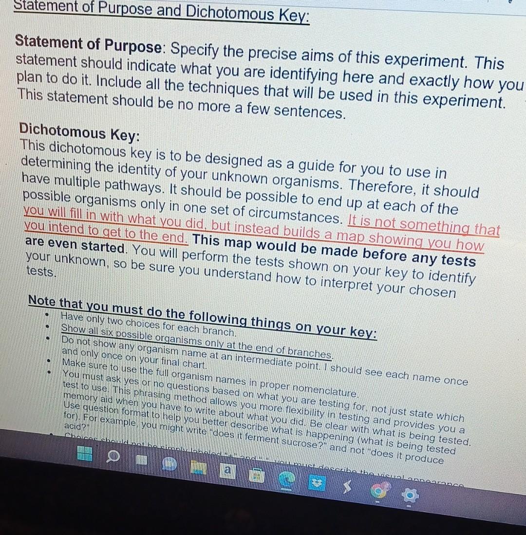 Dichotomous Key Flowchart During The Unknown Experiment You Will Make Macroscopic And Microscopic Observations To Gathe 3