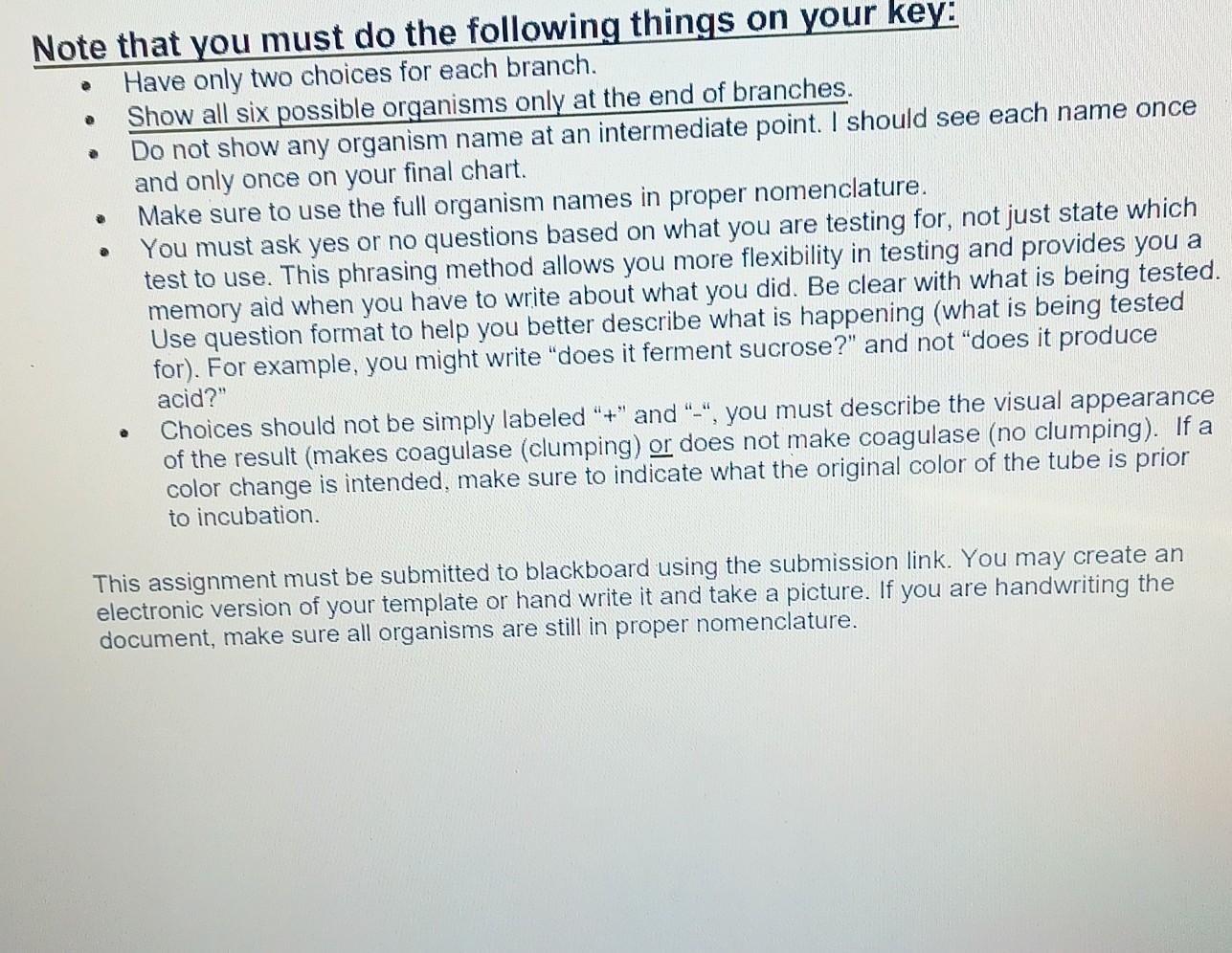 Dichotomous Key Flowchart During The Unknown Experiment You Will Make Macroscopic And Microscopic Observations To Gathe 4
