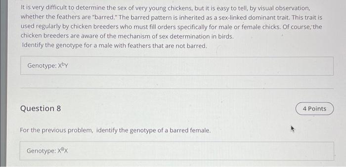 It Is Very Difficult To Determine The Sex Of Very Young Chickens But It Is Easy To Tell By Visual Observation Whether 1