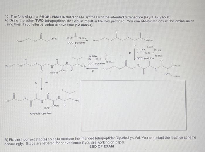 10 The Following Is A Problematic Solid Phase Synthesis Of The Intended Tetrapeptide Gly Ala Lys Val A Draw The Oth 1
