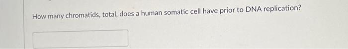 How Many Chromatids Total Does A Human Somatic Cell Have Prior To Dna Replication 1