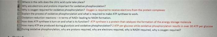 Where In The Celis Does The Citric Acid Cycle Take Place Why Are Electrons And Protons Important For Oxidative Phosphor 1