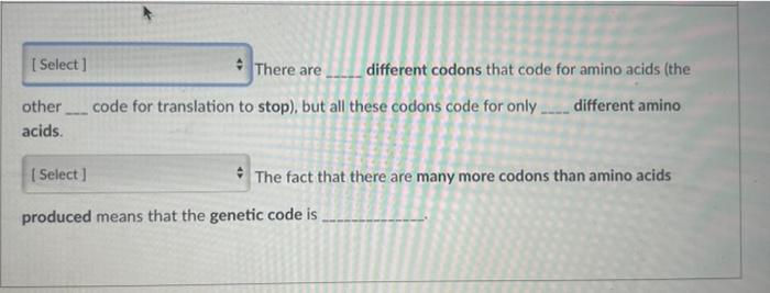 There Are Different Codons That Code For Amino Acids The Other Code For Translation To Stop But All These Codons Code 1