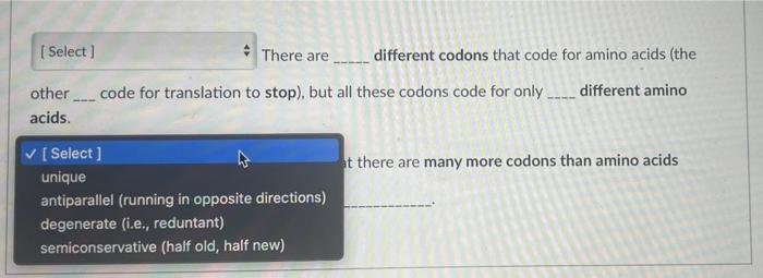 There Are Different Codons That Code For Amino Acids The Other Code For Translation To Stop But All These Codons Code 3