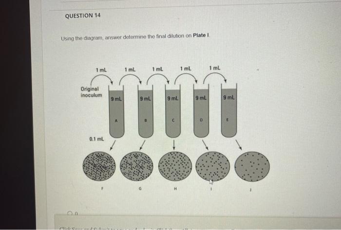 Using The Diagram Answer Determine The Final Dilution On Plate I Greks Save Emd Submut Ro Save And Submut Ctick Sabe 1