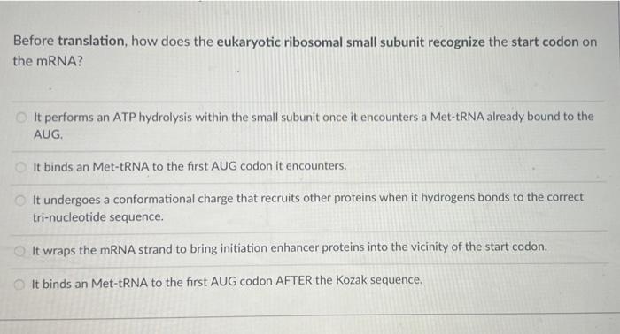 Before Translation How Does The Eukaryotic Ribosomal Small Subunit Recognize The Start Codon On The Mrna It Performs A 1