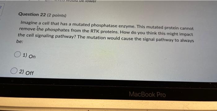 Question 22 2 Points Imagine A Cell That Has A Mutated Phosphatase Enzyme This Mutated Protein Cannot Remove The Pho 1