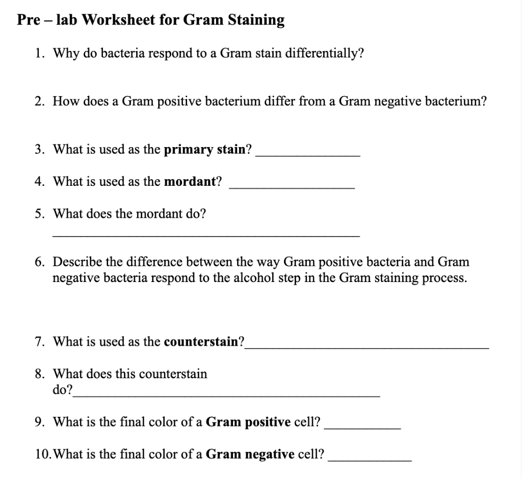Pre Lab Worksheet For Gram Staining 1 Why Do Bacteria Respond To A Gram Stain Differentially 2 How Does A Gram Posi 1
