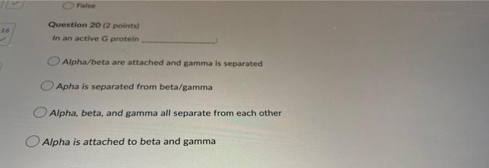 Question 20 2 Polntw In An Active 6 Protein Alpha Beta Are Attached And Gamma Is Separated Apha Is Separated From Beta 1