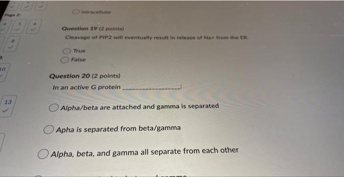 Question 20 2 Polntw In An Active 6 Protein Alpha Beta Are Attached And Gamma Is Separated Apha Is Separated From Beta 2