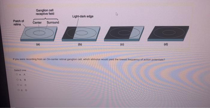 It Yoid Wete Recoding From An On Center Retinal Ganglion Celi Which Stimulus Would Yleld The Lowest Frequency Of Action 1